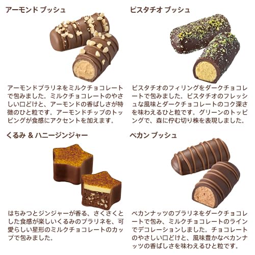 Amazon.co.jp: クリスマス ゴディバ（GODIVA）ブッシュ ド ノエル ベア